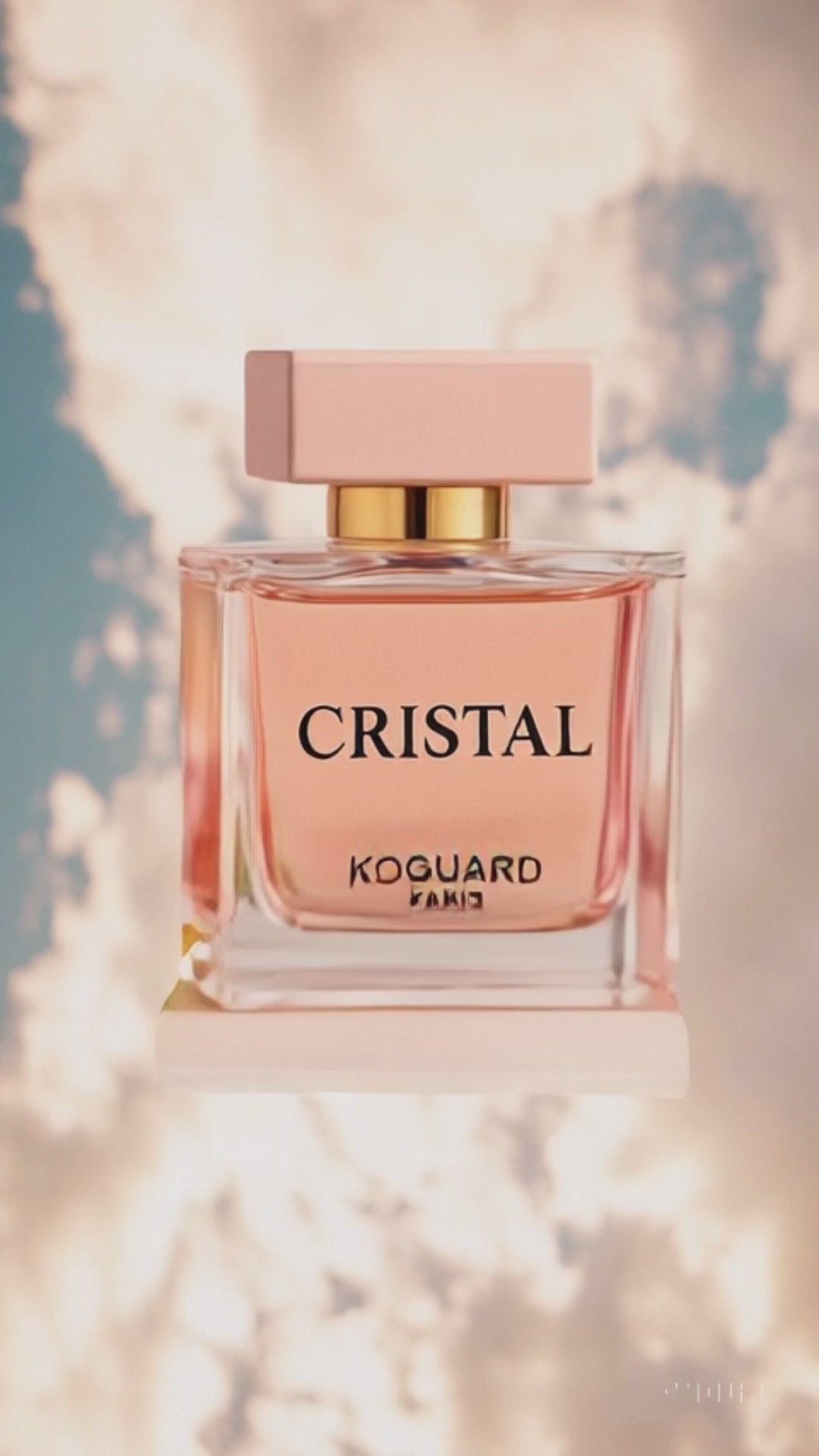 Charger la vidéo : 